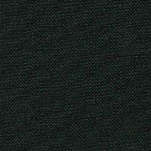 Buckram Black.jpg